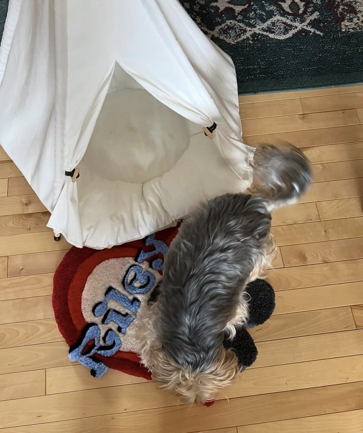Riley approves